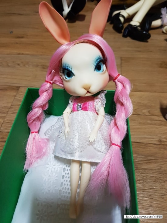 베베스텔라 이미지