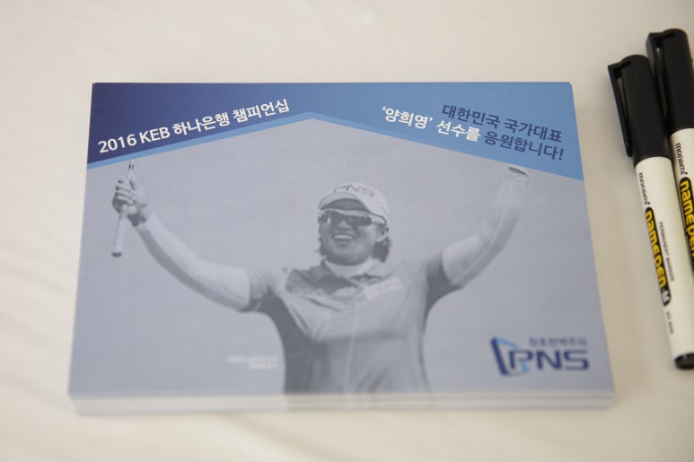 피엔에스 이미지