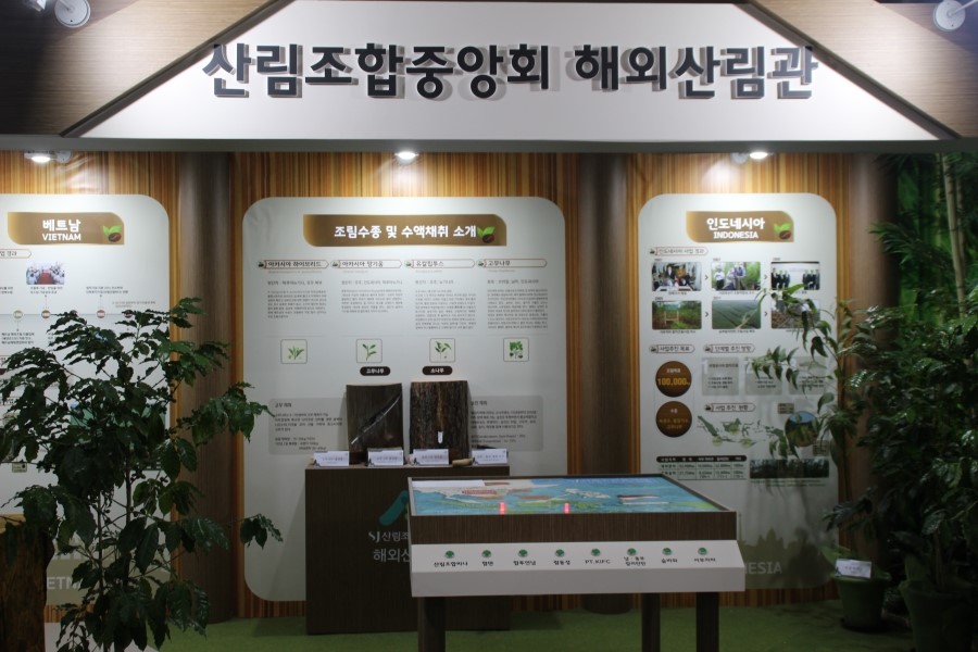 푸른미래컨설팅 이미지