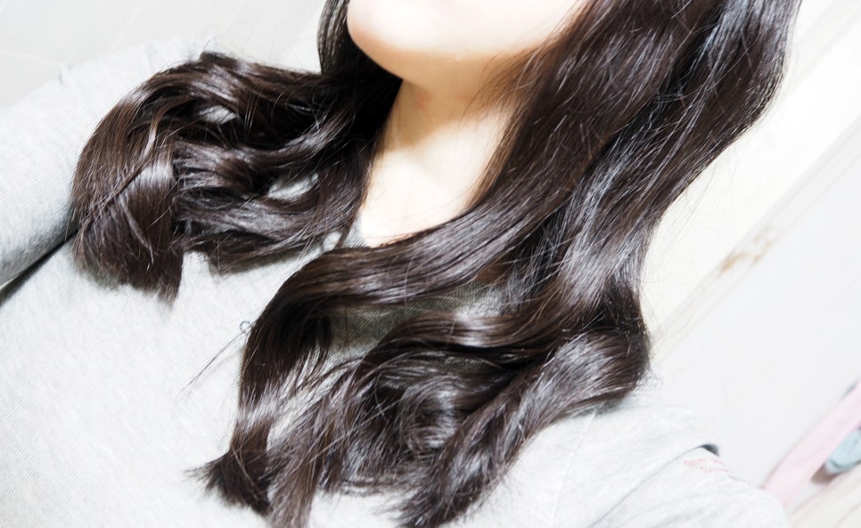 롤로(Rollo) 이미지