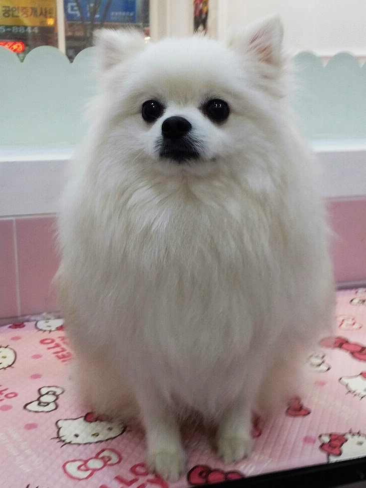 라이원주 이미지