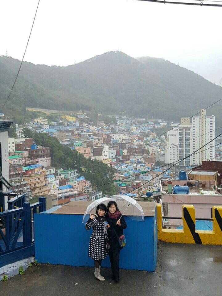 하얀그집 이미지