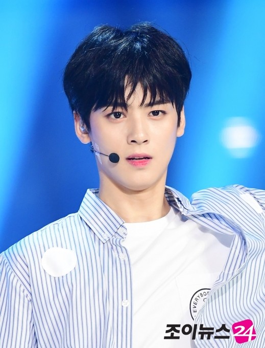 벚꽃풍선 이미지