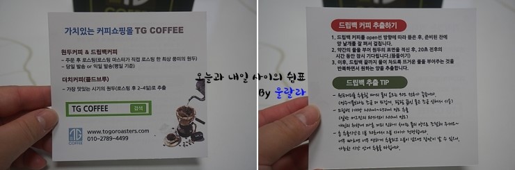 투고로스터스 이미지