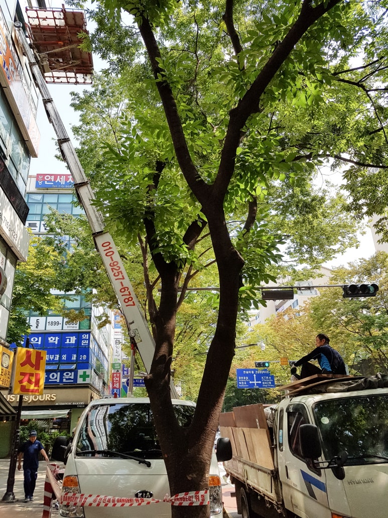 서현승무용학원 이미지