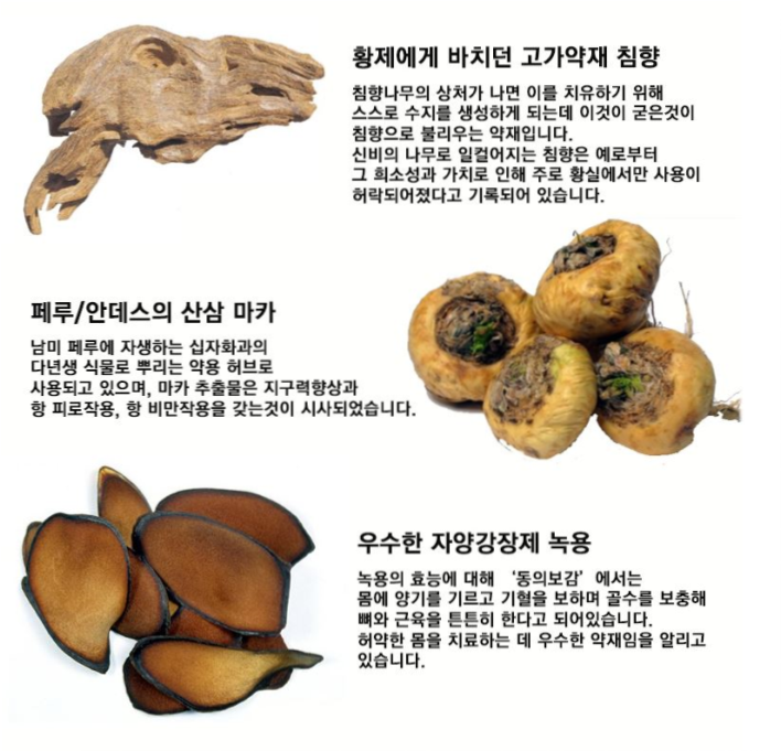 KGC라이프앤진 이미지