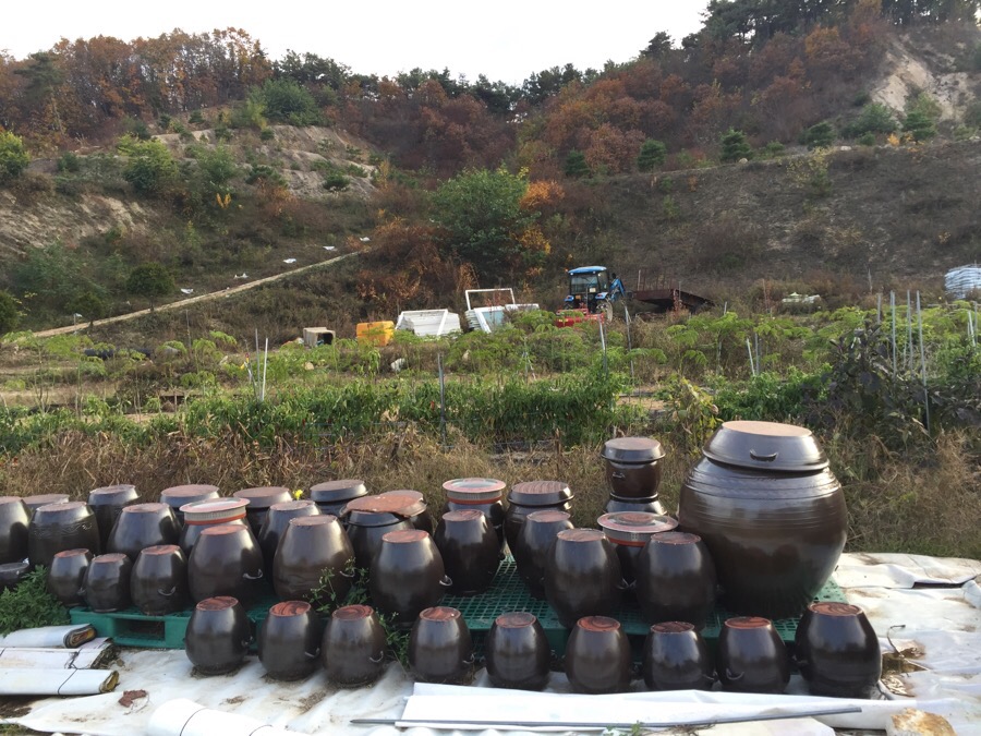 한누리 이미지