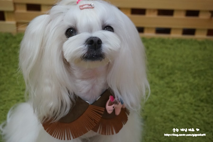 앤비비 이미지