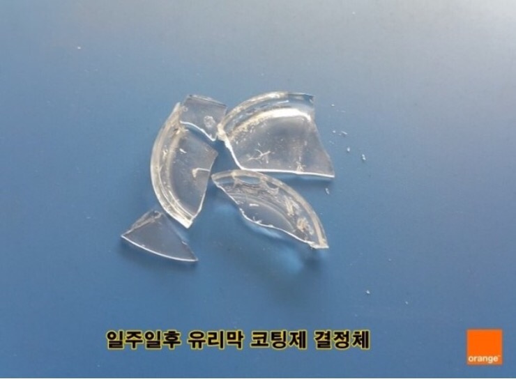세라샤인 이미지