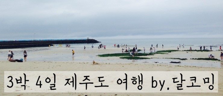 Black 4M(블랙포엠) 이미지