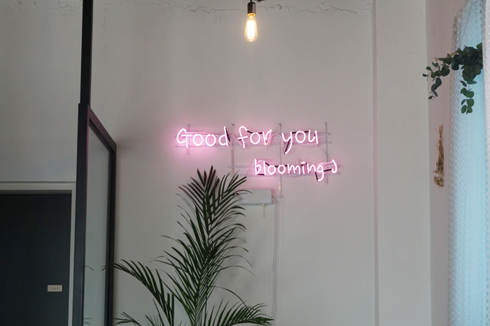 블루밍 제이(Blooming J) 이미지