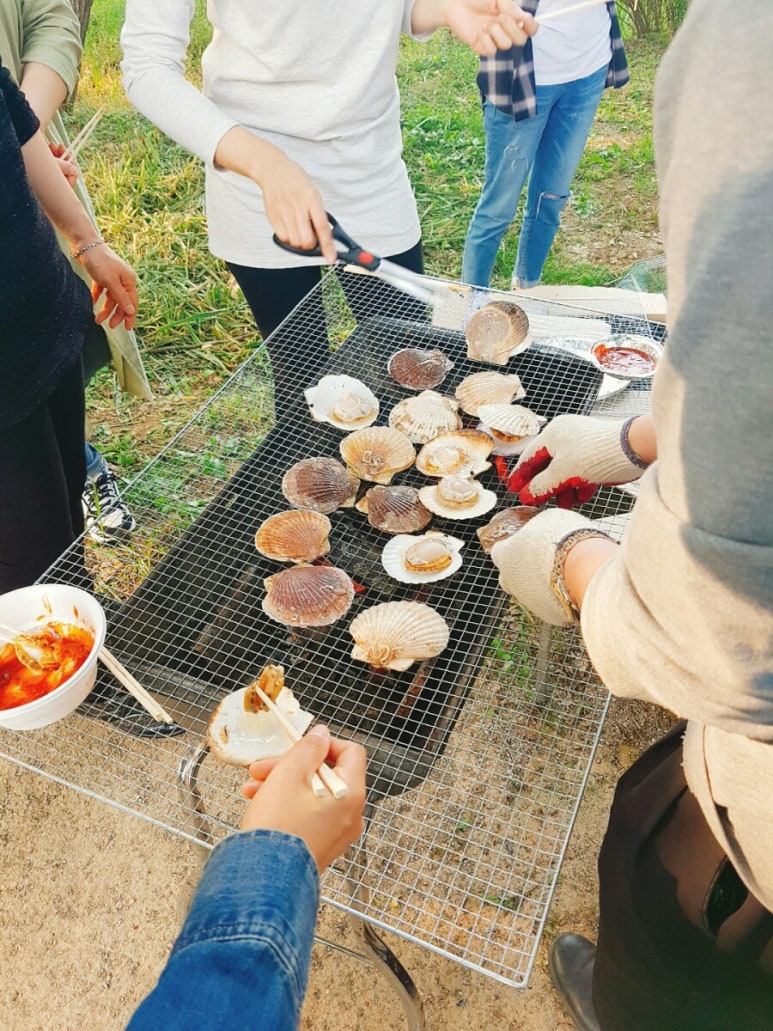 다인야영장 이미지