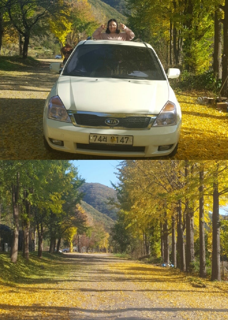 대성정비센터 이미지