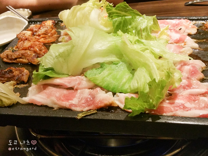 톤톤돼지 이미지