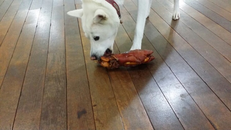 둥이족발 이미지