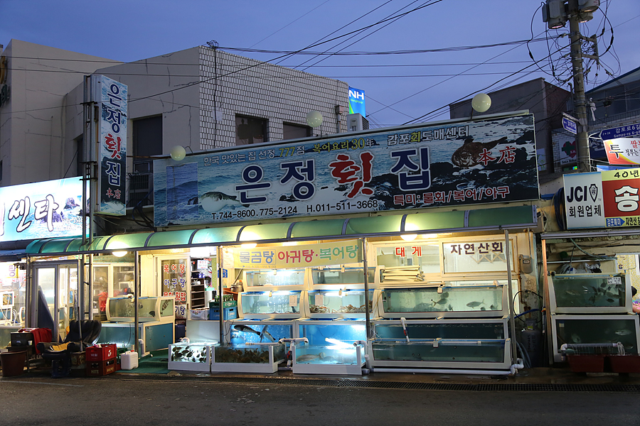 감포은정횟집 이미지