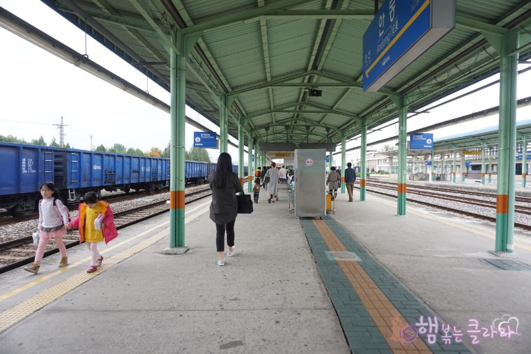 (주)보니조아여행 이미지