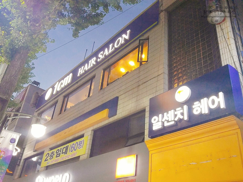 일센치헤어 이미지