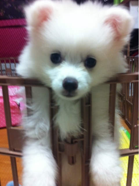 덩어리 이미지