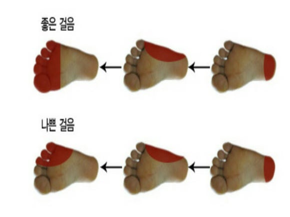 페록스신발 이미지