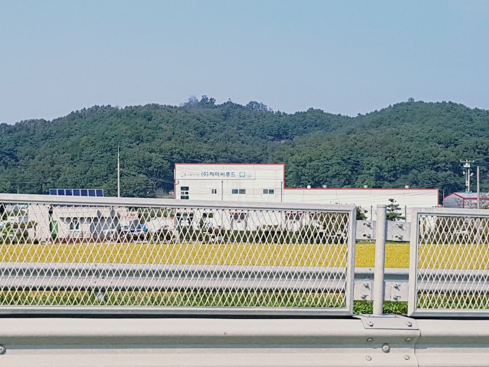 케이씨푸드 이미지