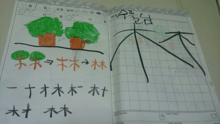 수풀삼 이미지
