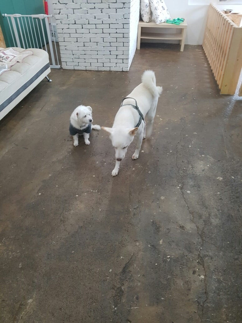샘호텔 이미지
