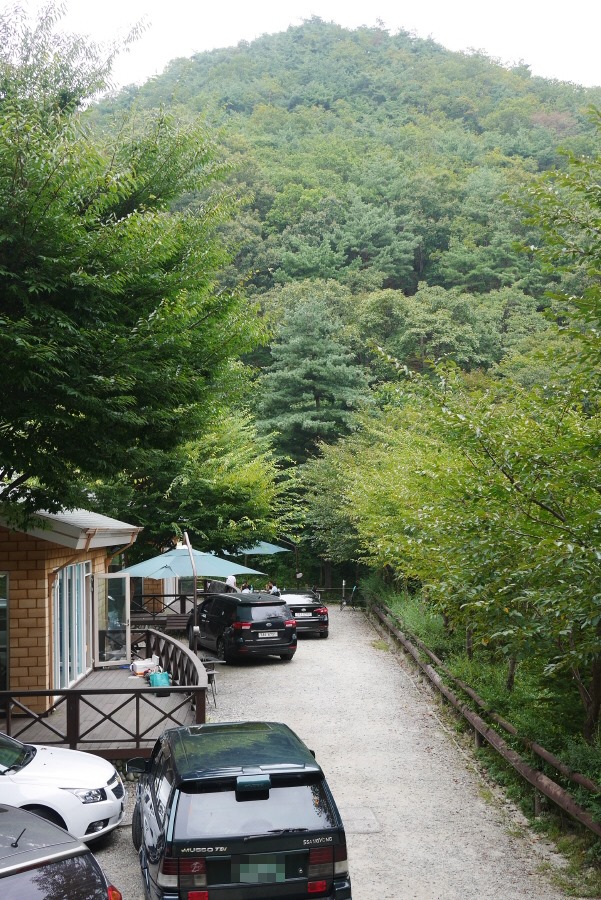 좌구산자연휴양림 이미지
