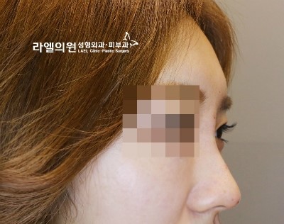 라엘의원 이미지