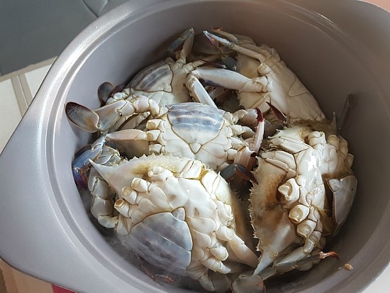 샤이닝모빌영종점 이미지