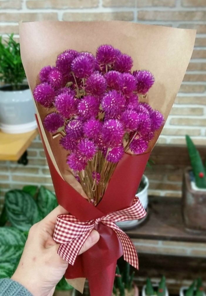 담쟁이화원 이미지