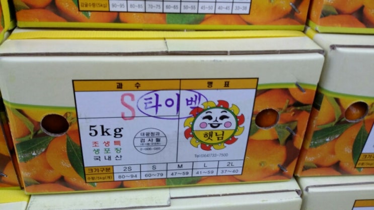 과일하우스 이미지