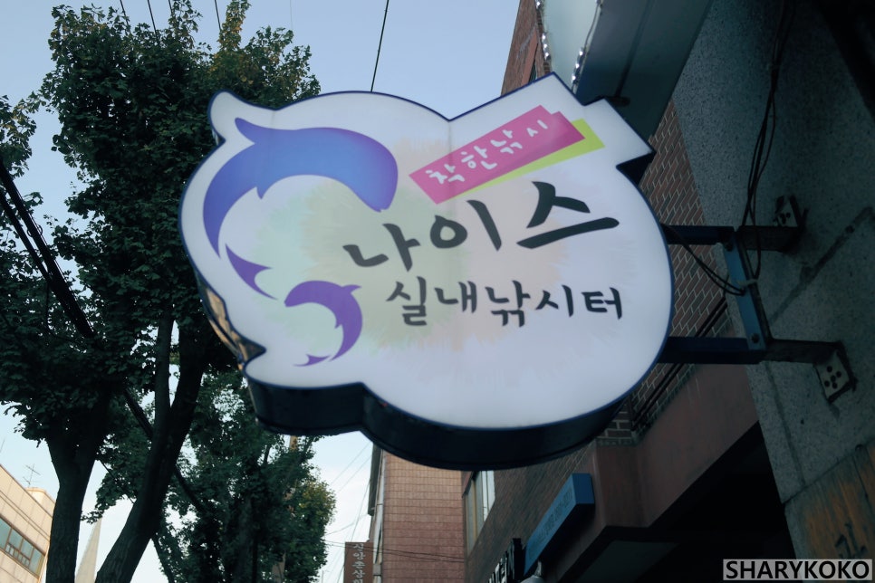 나이스실내낚시터 이미지