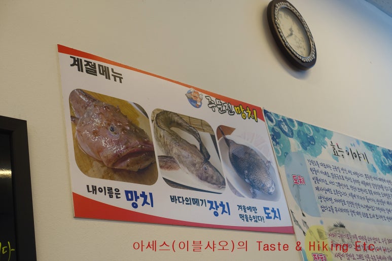 주문진망치 이미지