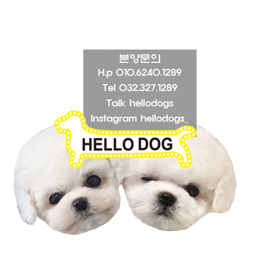 미남축산 이미지