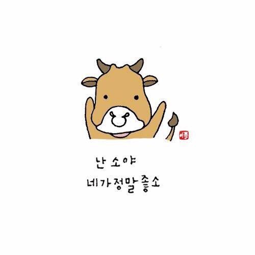 이플 이미지