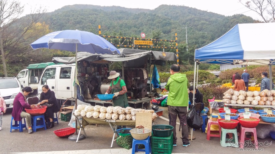 시골정 이미지