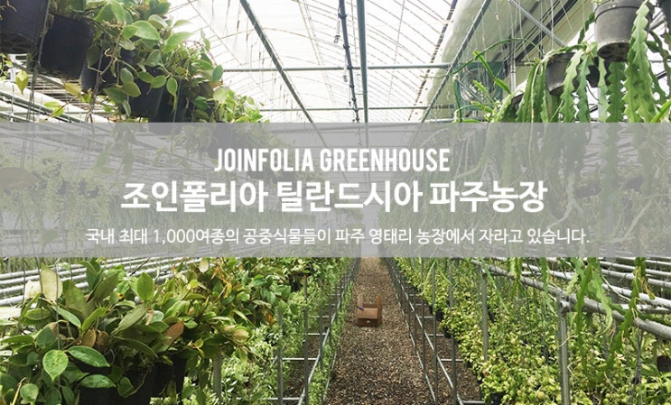 석송농장 이미지