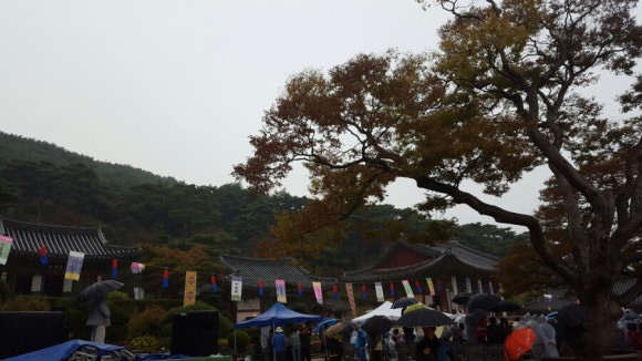 규니네 캠핑 이미지