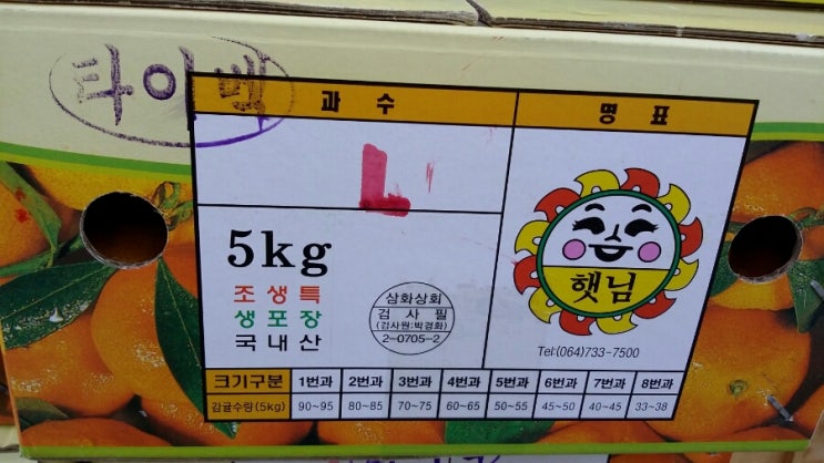 과일하우스 이미지