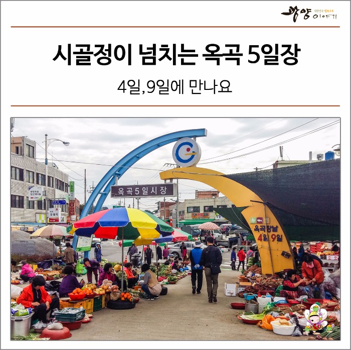 시골정 이미지