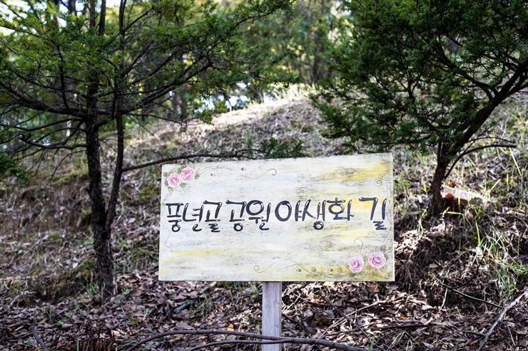 풍년골 이미지