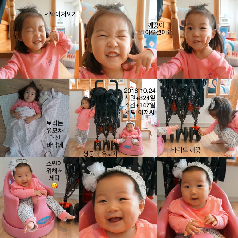 진리세탁 이미지