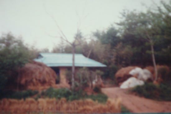 이순례 이미지