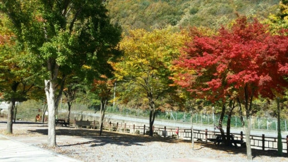 단양소백산한옥민박 이미지