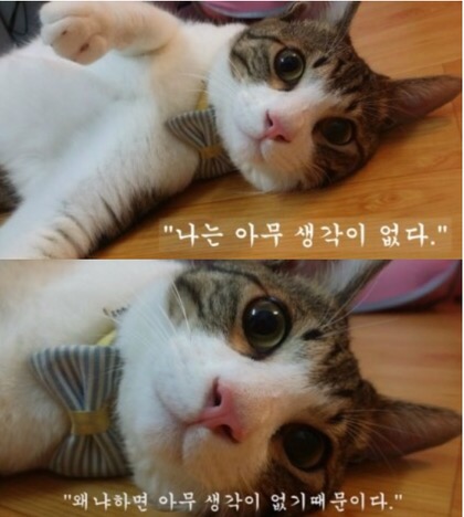 헤어아떼 이미지