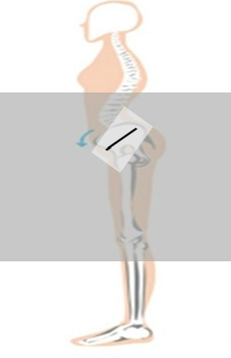 북가좌동헬스 이미지
