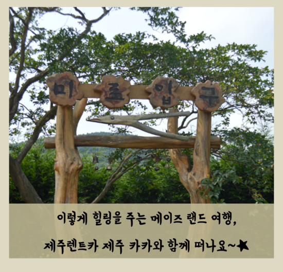 카카랜드 이미지