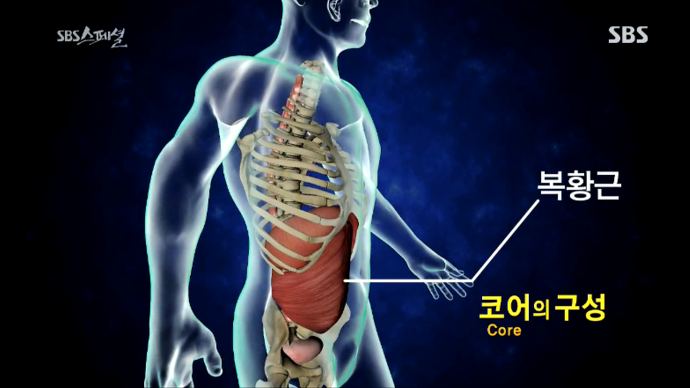 몸짱스쿨 이미지