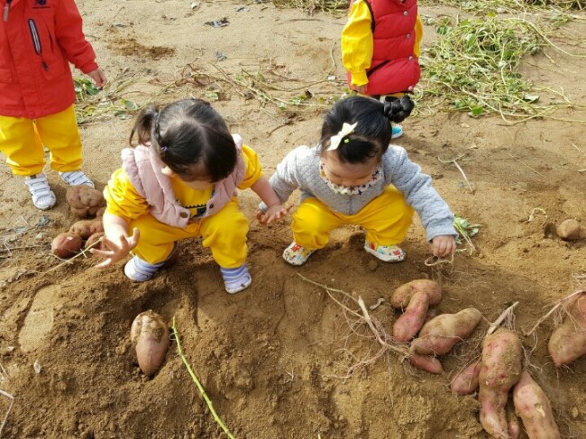 라원 이미지